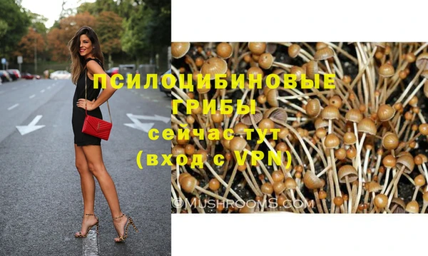 дурь Арсеньев