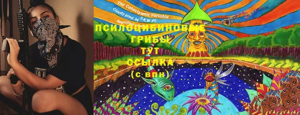 дурь Арсеньев