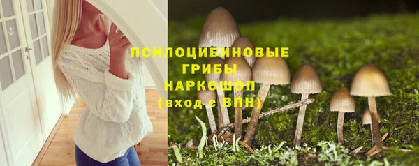 спиды Аркадак