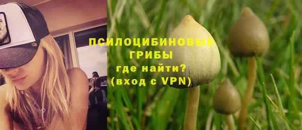 спиды Аркадак